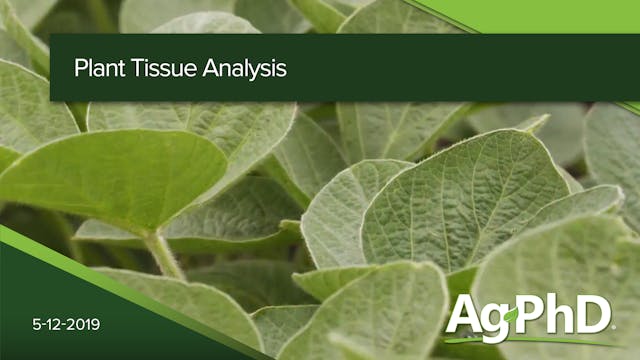 Plant Tissue Analysis