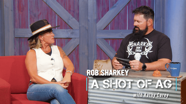 Kathy Carey | Teacher/Entrepreneur | ...