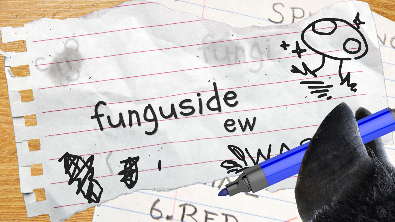 Corn Fungicide.....Fungus....Yuck | WAG in Focus 07/08/24