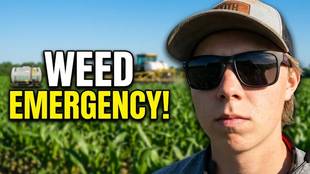 Spraying Our Corn Crop Before the Wee...
