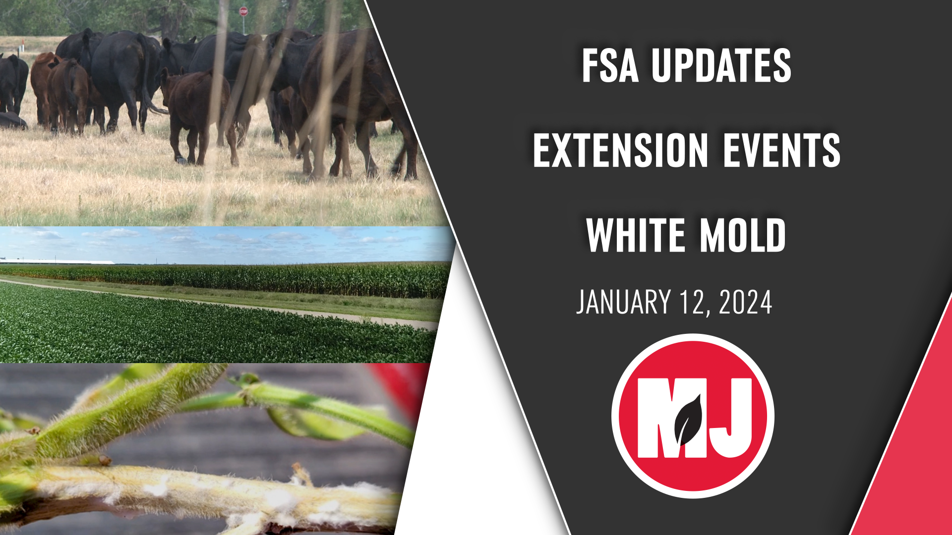 January 12, 2024 | Market Journal