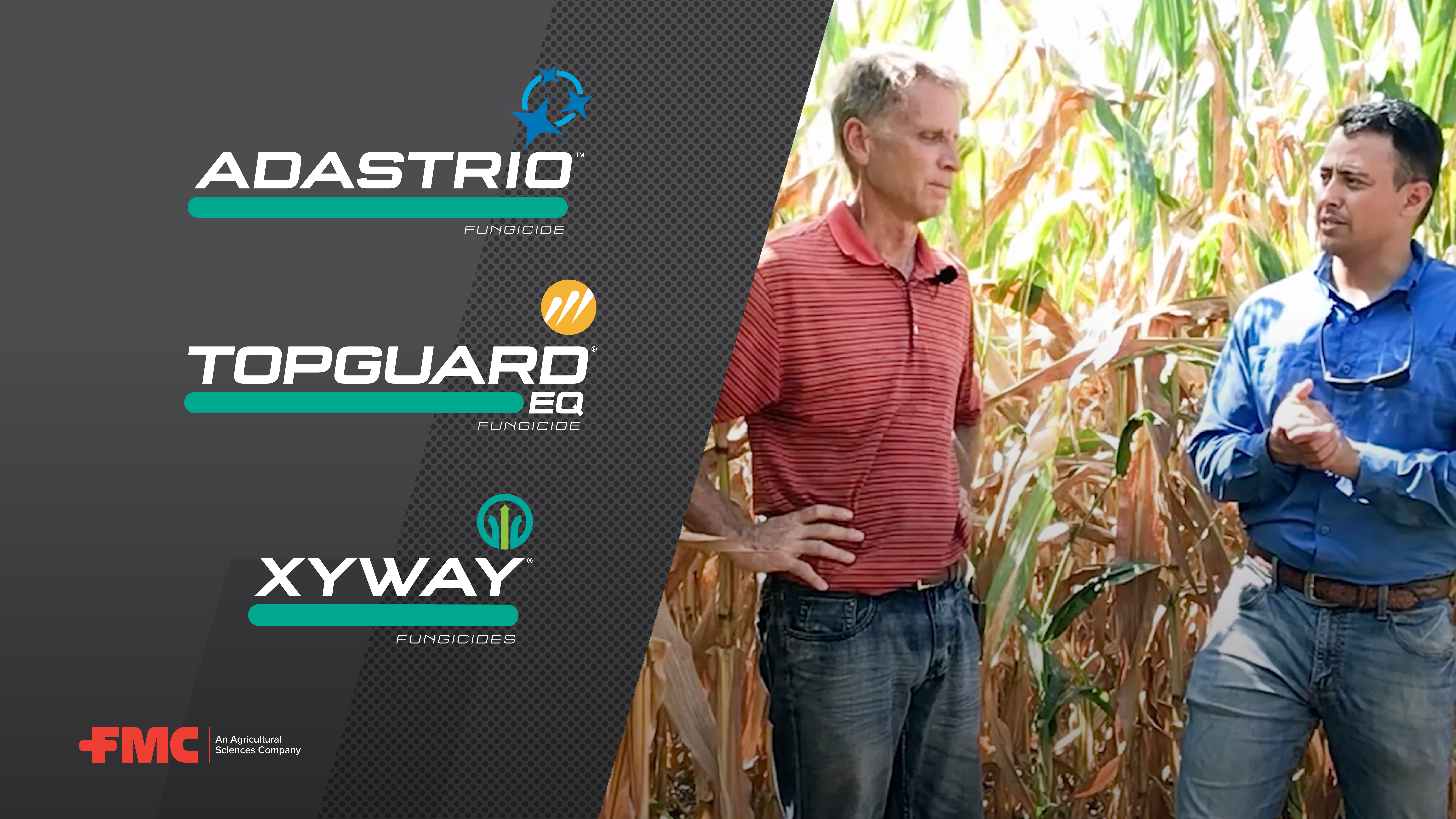 FMC Tech Talk: Tar Spot Update With Dr. Rodrigo Onofre