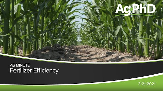 Fertilizer Efficiency | Ag PhD