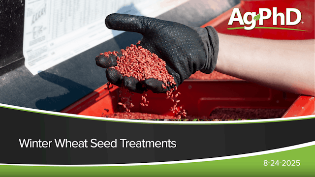 Winter Wheat Seed Treatments | Ag PhD