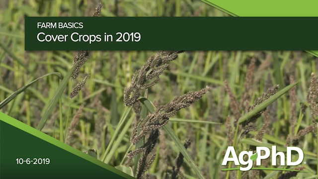 Cover Crops in 2019
