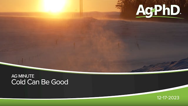 Cold Can Be Good | Ag PhD