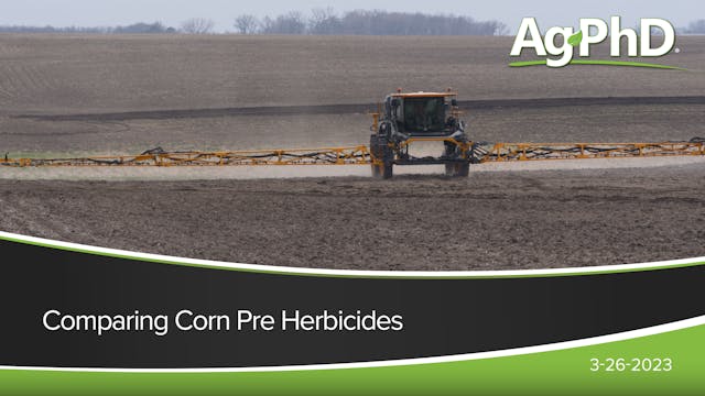 Comparing Corn Pre Herbicides
