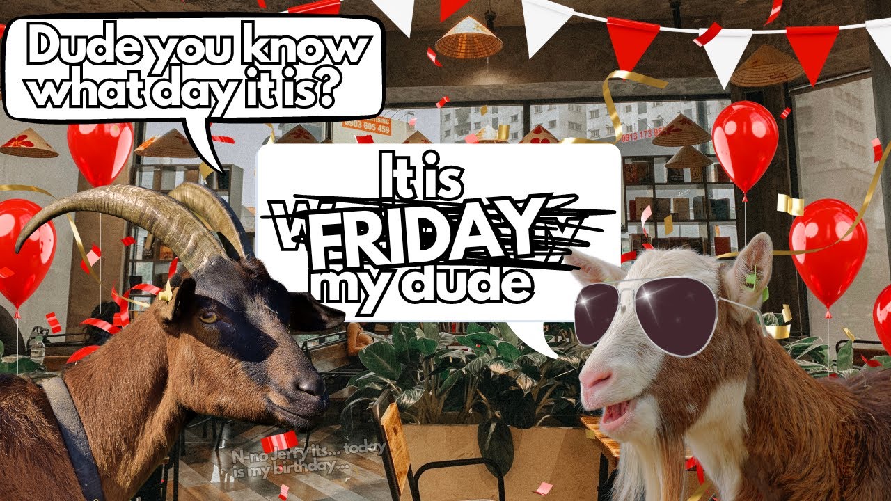 Free For All Friday | WAG in Focus 05/10/24