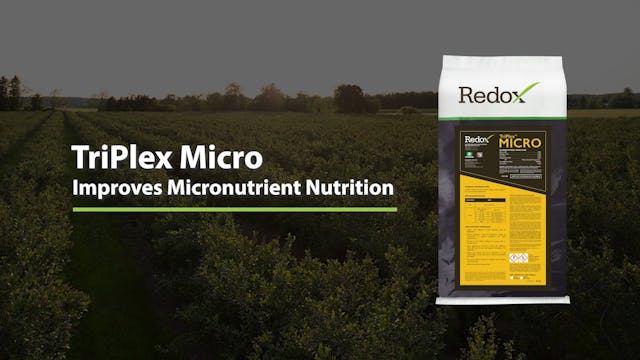 Redox TriPlex™ Micro