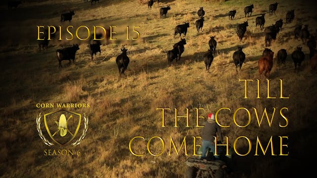 Corn Warriors | 615 | Till the Cows C...