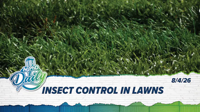 Insect Control In Lawns | Ag PhD Dail...