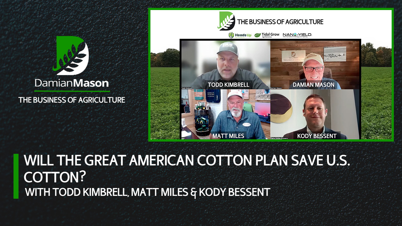 Will the Great American Cotton Plan Save U.S. Cotton? | Damian Mason
