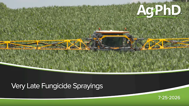 Very Late Fungicide Sprayings | Ag PhD