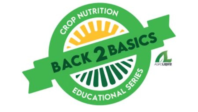 Back 2 Basics Video Series