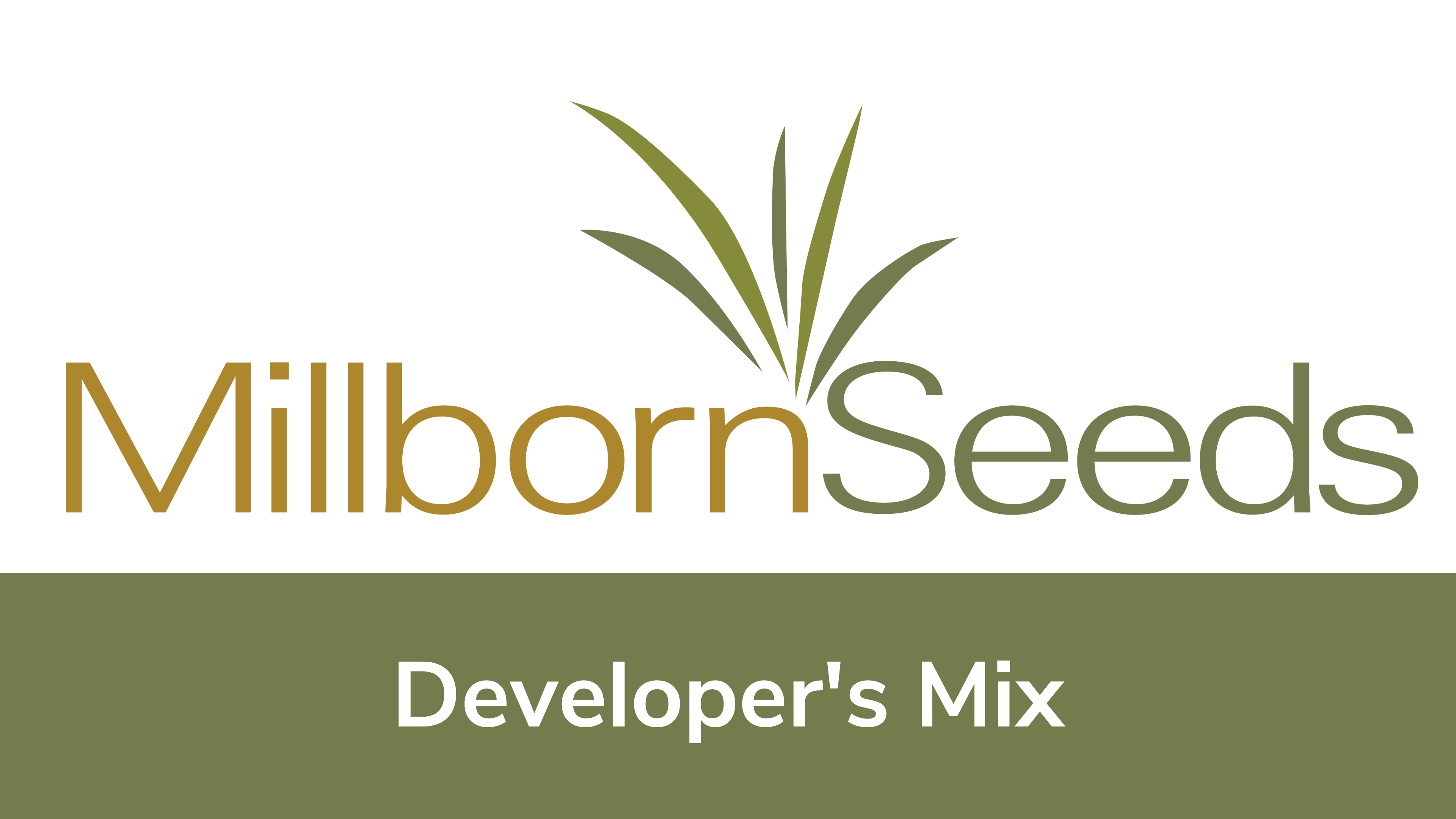 Millborn Seeds - Developer's Mix