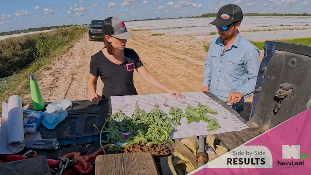 Deep Roots in Watermelons | Pink Performance Tour | Florida