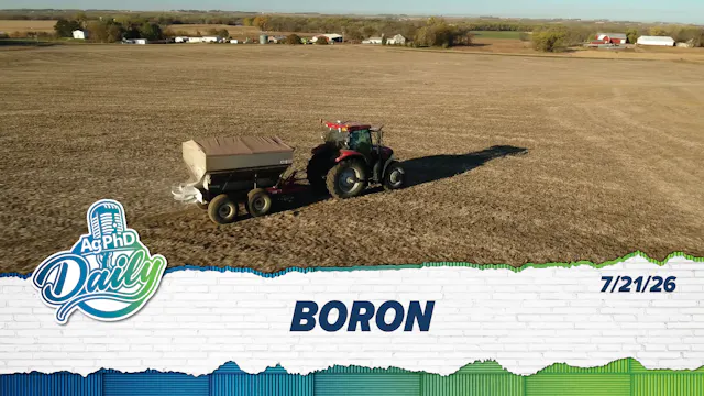 Boron | Ag PhD Daily | 7/21/26