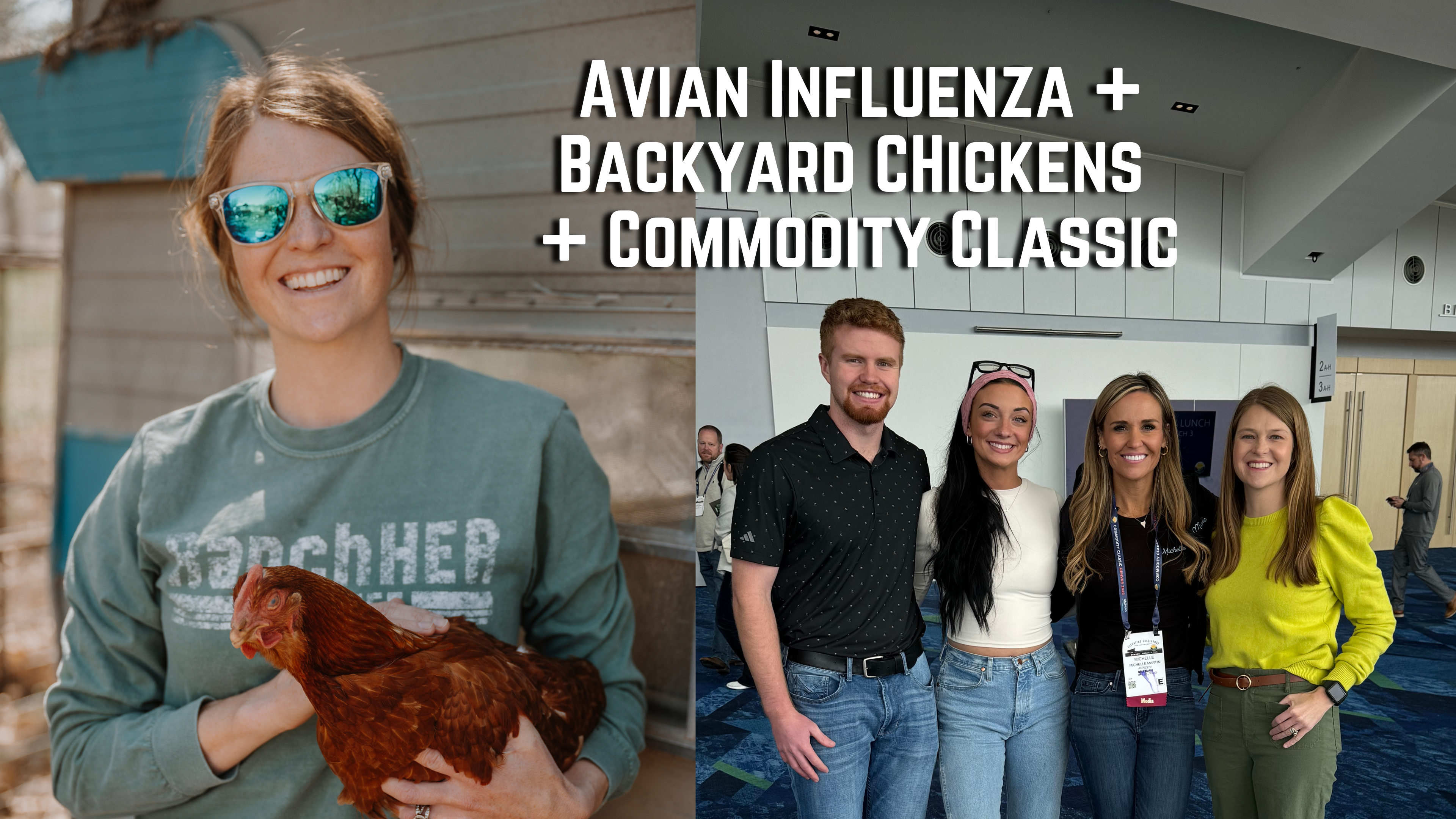 Avian Influenza, Backyard Chickens & My First Commodity Classic | Buzzard's Beat