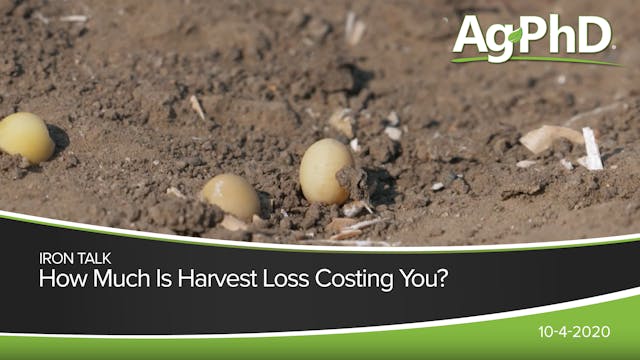 How Much Is Harvest Loss Costing You?...