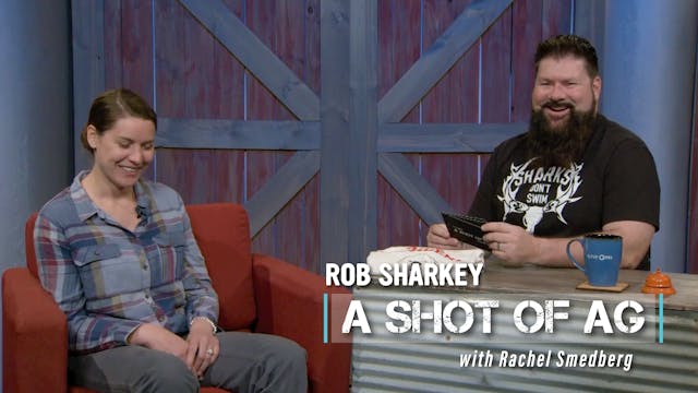 Rachel Smedberg | Tulip Tree Gardens ...