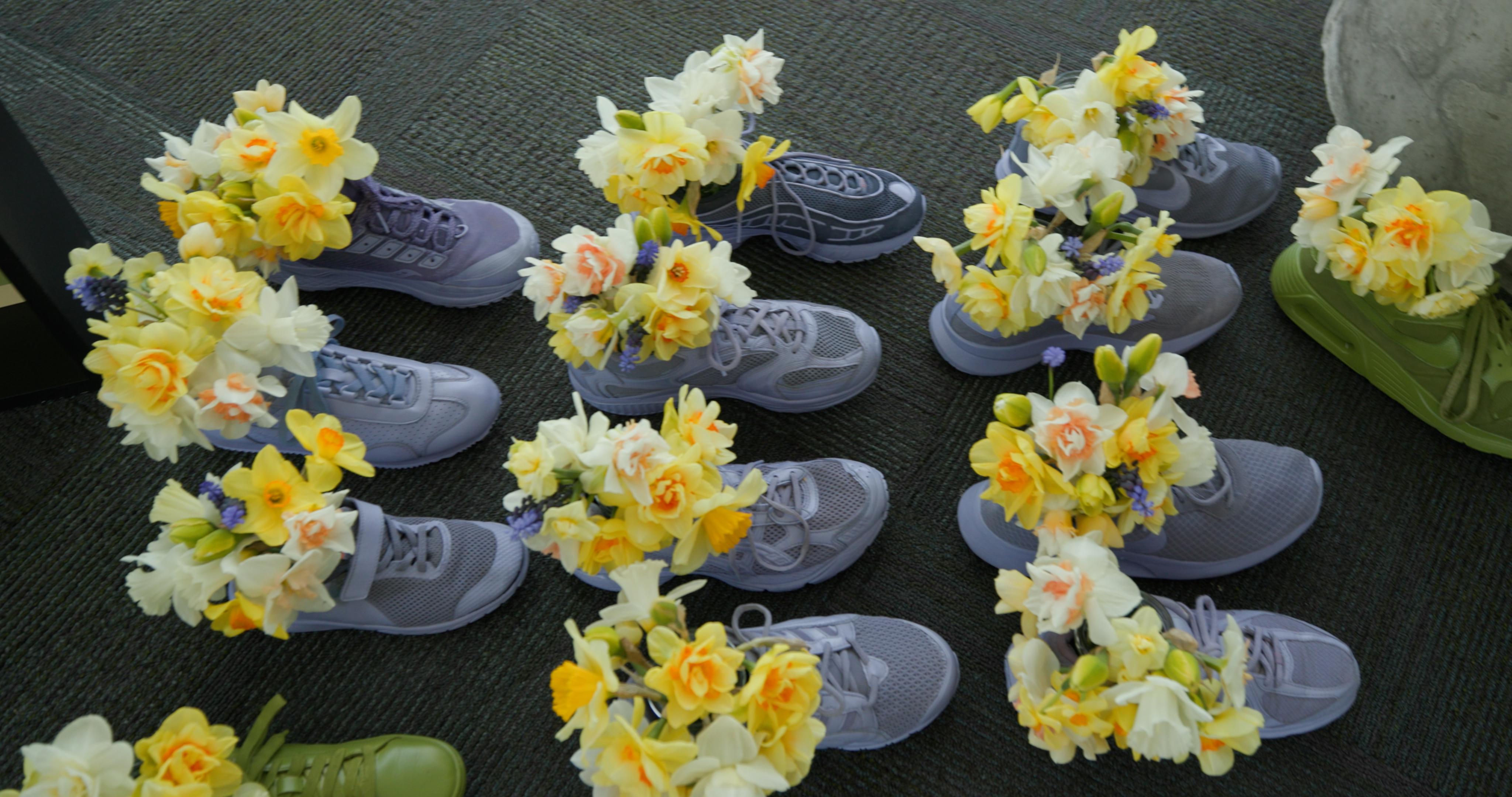 Blooms on the Run | Follow the Blooms | Episode 1