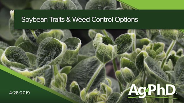 Soybean Traits and Weed Control Options