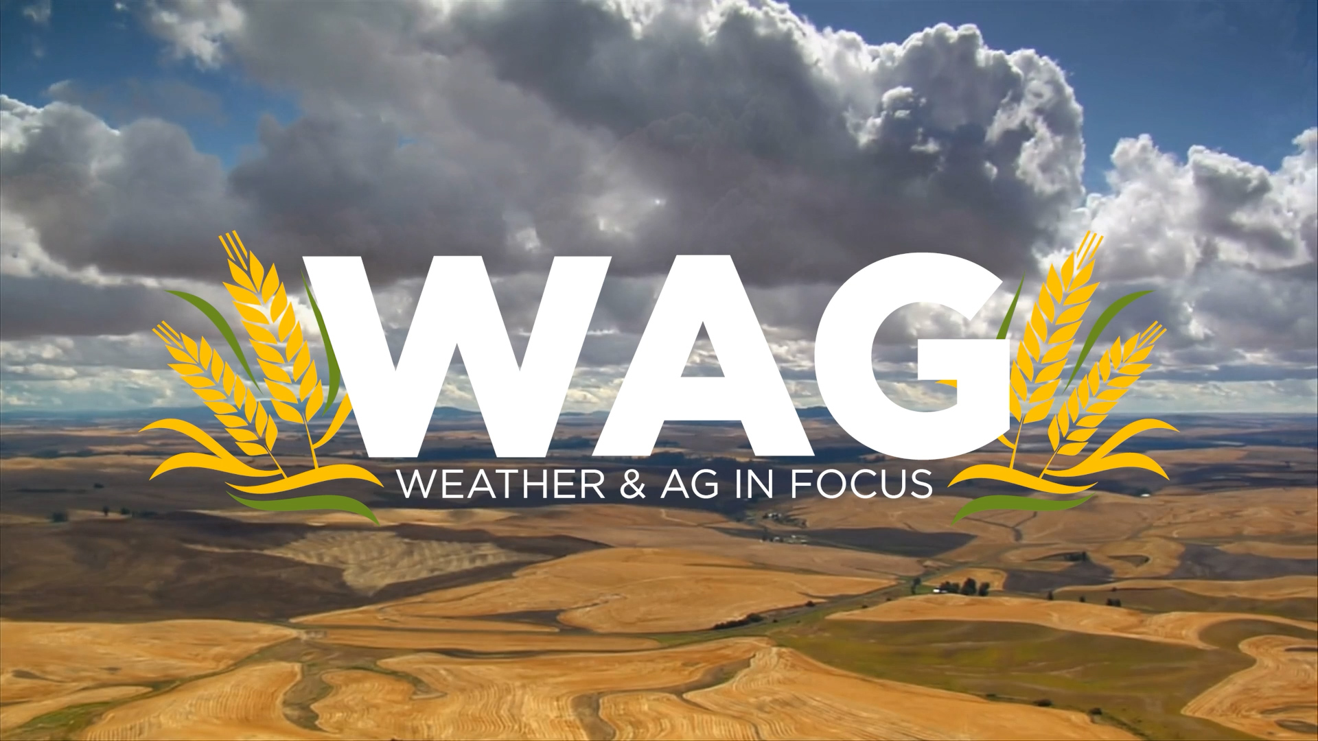 Clean your nozzles: How to double crop soybeans - 10-4-22 WAG In Focus