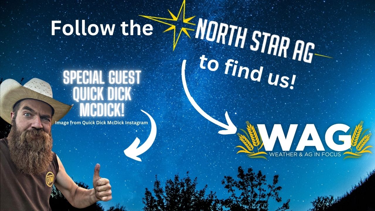 LIVE - Follow the North Star Ag to See Us! WAG In Focus 9/12/23