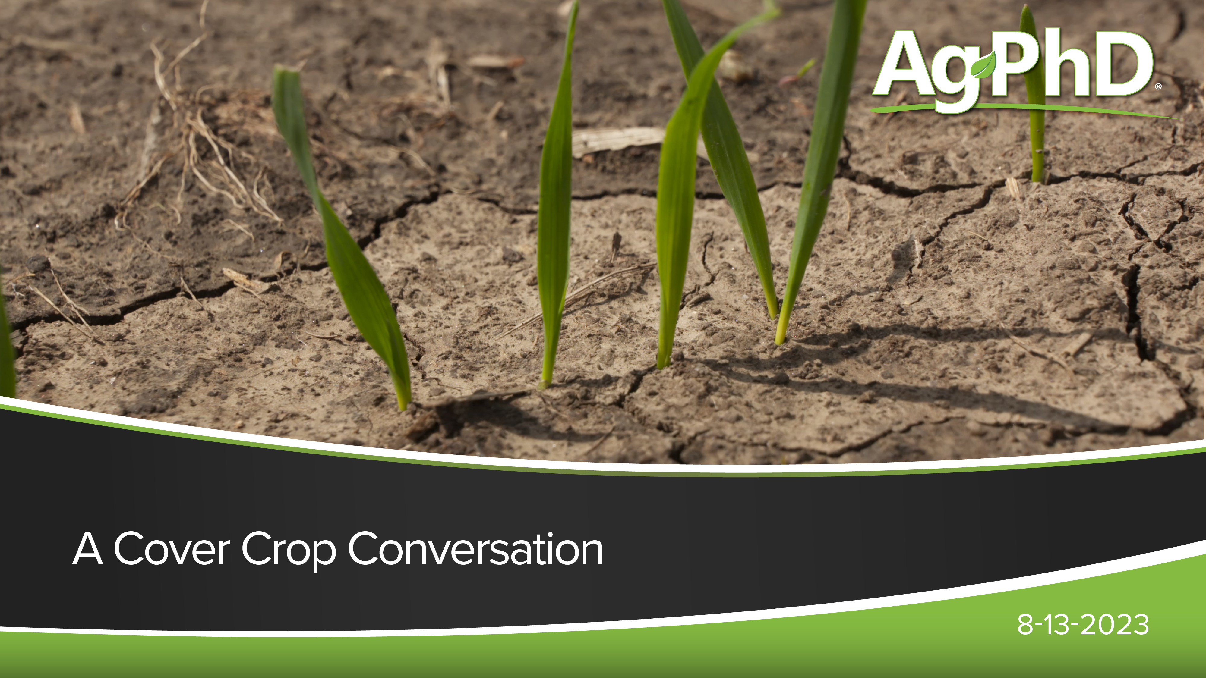 A Cover Crop Conversation | Ag PhD