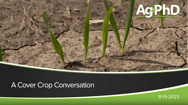 A Cover Crop Conversation | Ag PhD