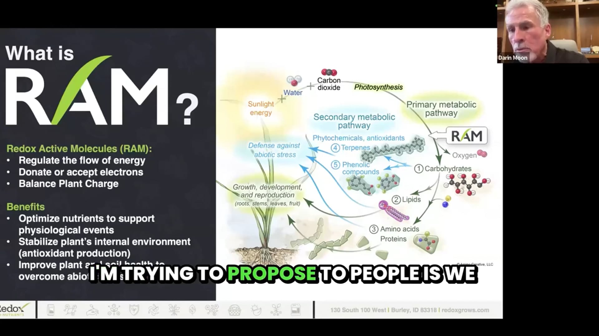 More Nitrogen is not the answer to Better Yield and Quality | Redox