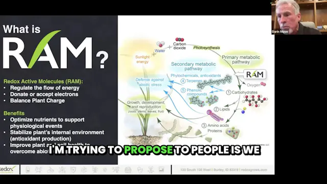 More Nitrogen is not the answer to Be...