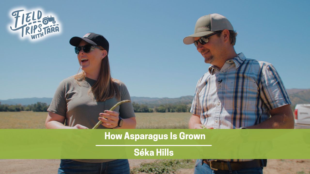 How Asparagus Is Grown: A Visit to Seka Hills | Field Trips