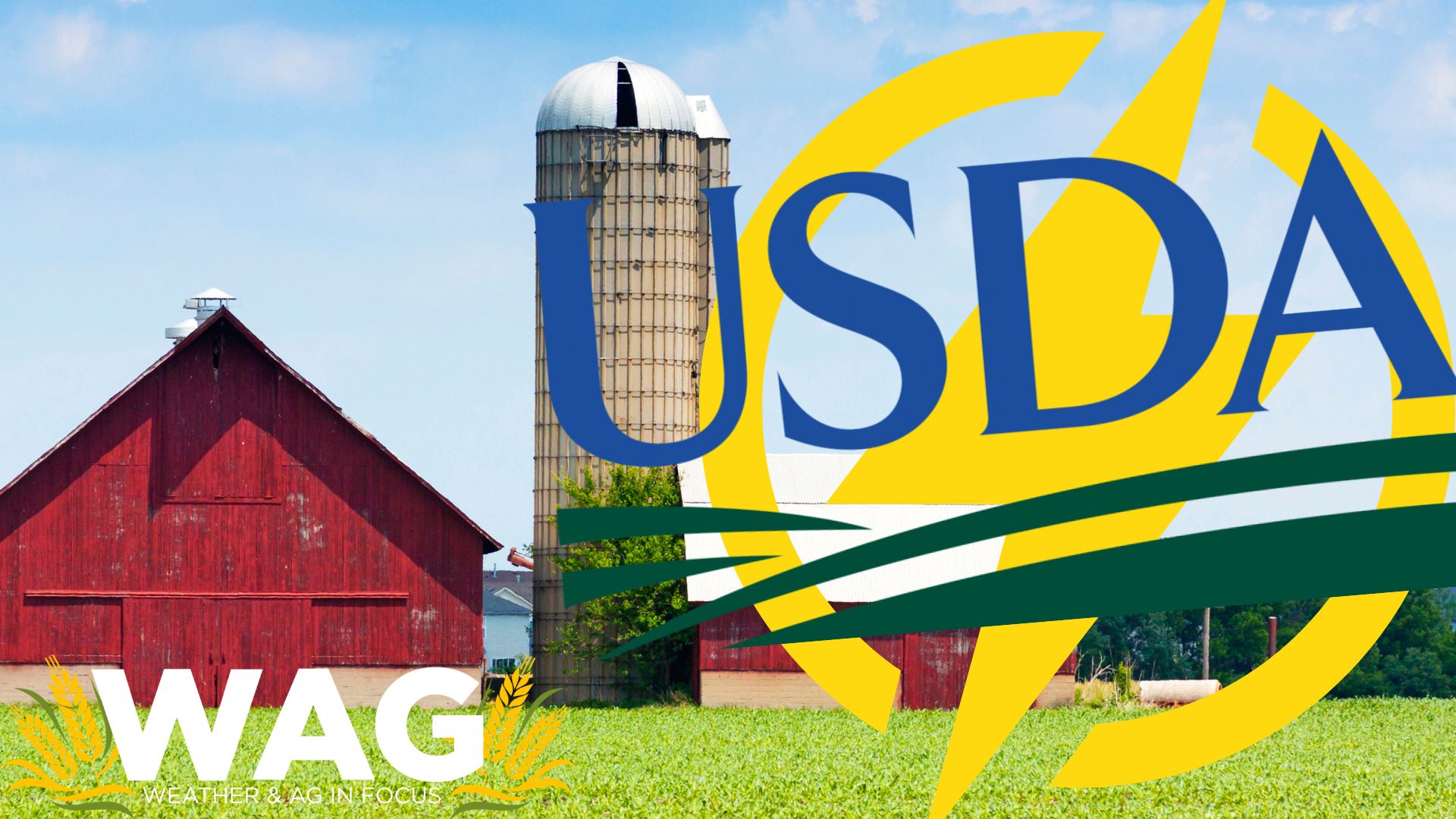 USDA is Lighting Up Your Farm Shop! WAG In Focus 3-8-23