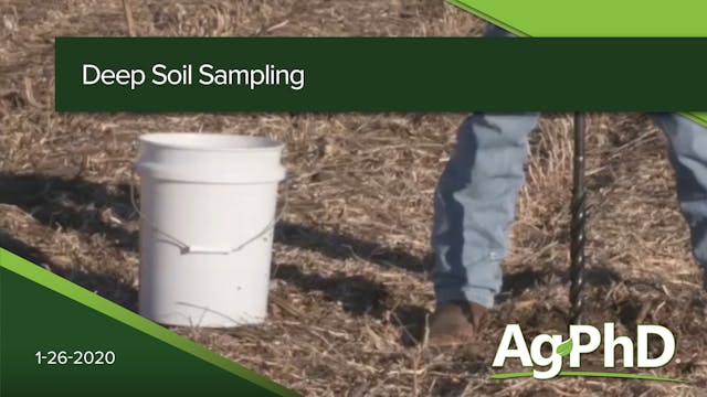 Deep Soil Sampling | Ag PhD