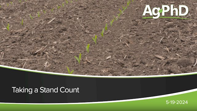 Taking a Stand Count | Ag PhD