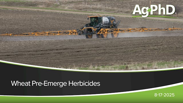 Pre-Emerge Wheat Herbicides | Ag PhD