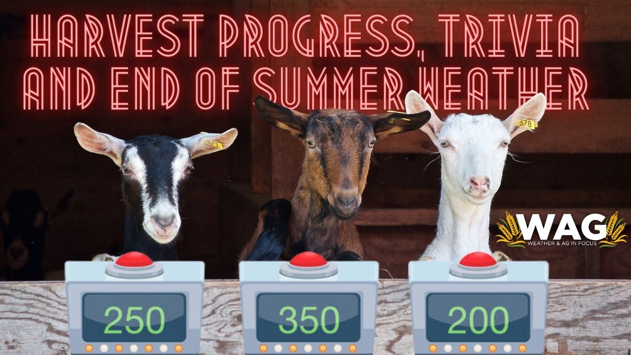 Harvest Progress, Trivia and End of Summer Weather - WAG In Focus 8/25/23