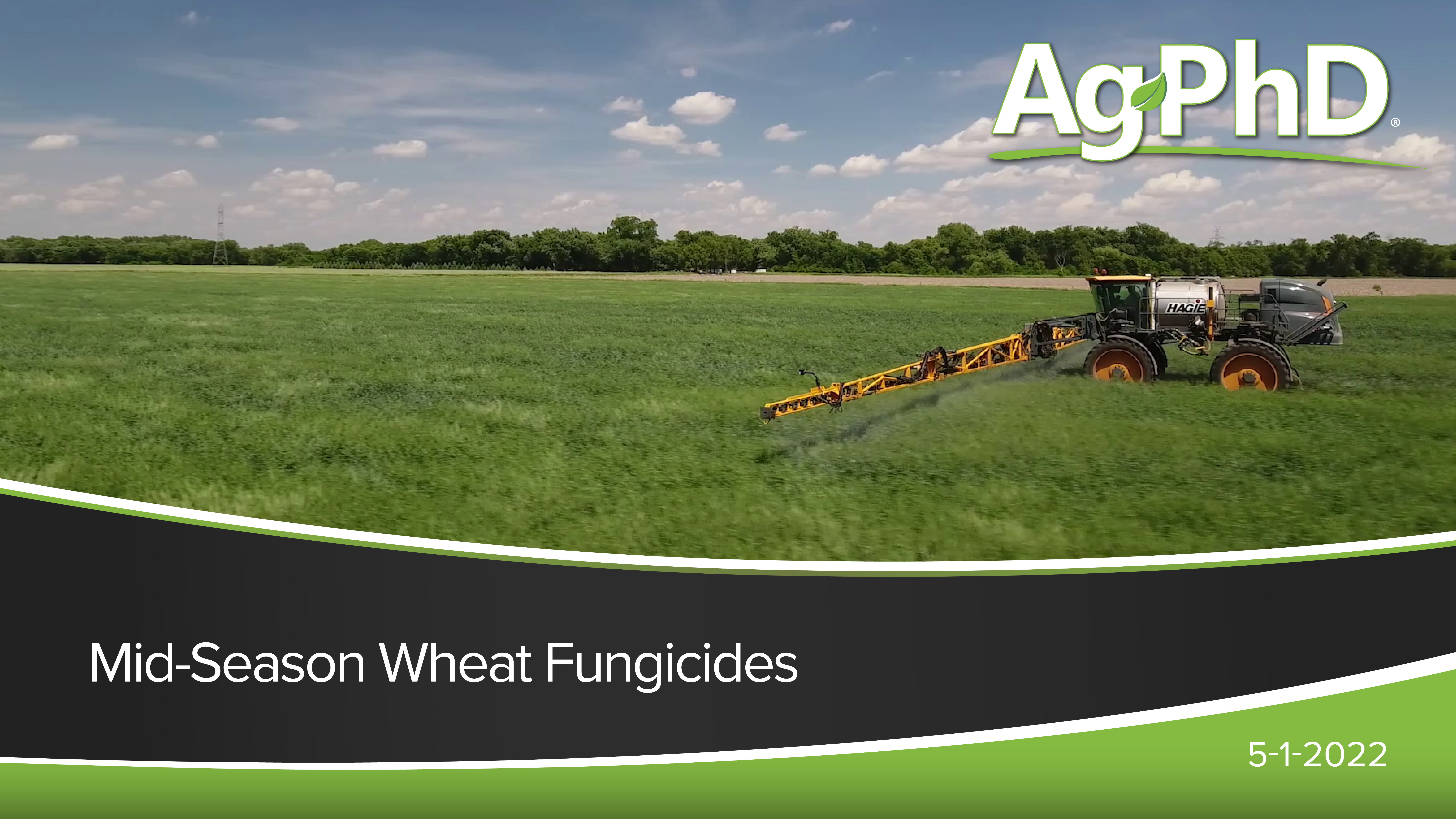 Mid-Season Wheat Fungicides | Ag PhD