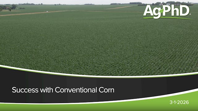 Success With Conventional Corn | Ag PhD