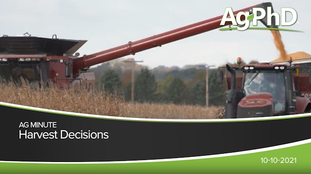 Harvest Decisions | Ag PhD