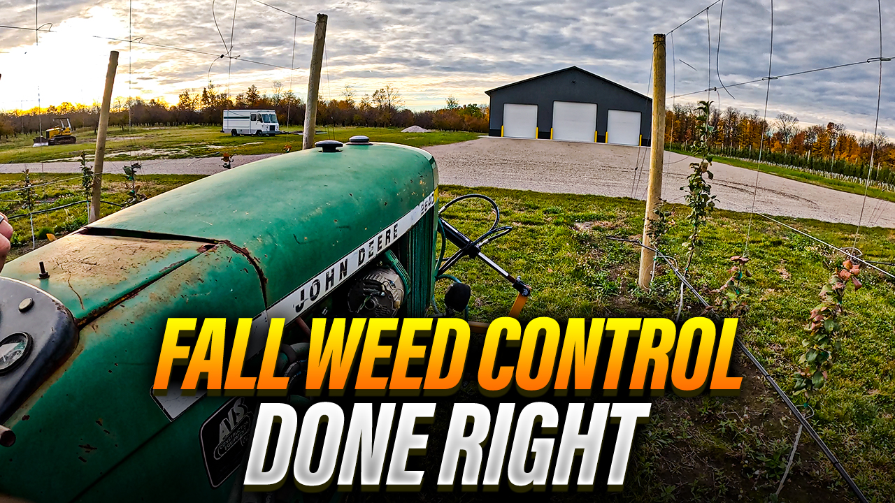 Fall Weed Control Done Right! | Pomes and Stones