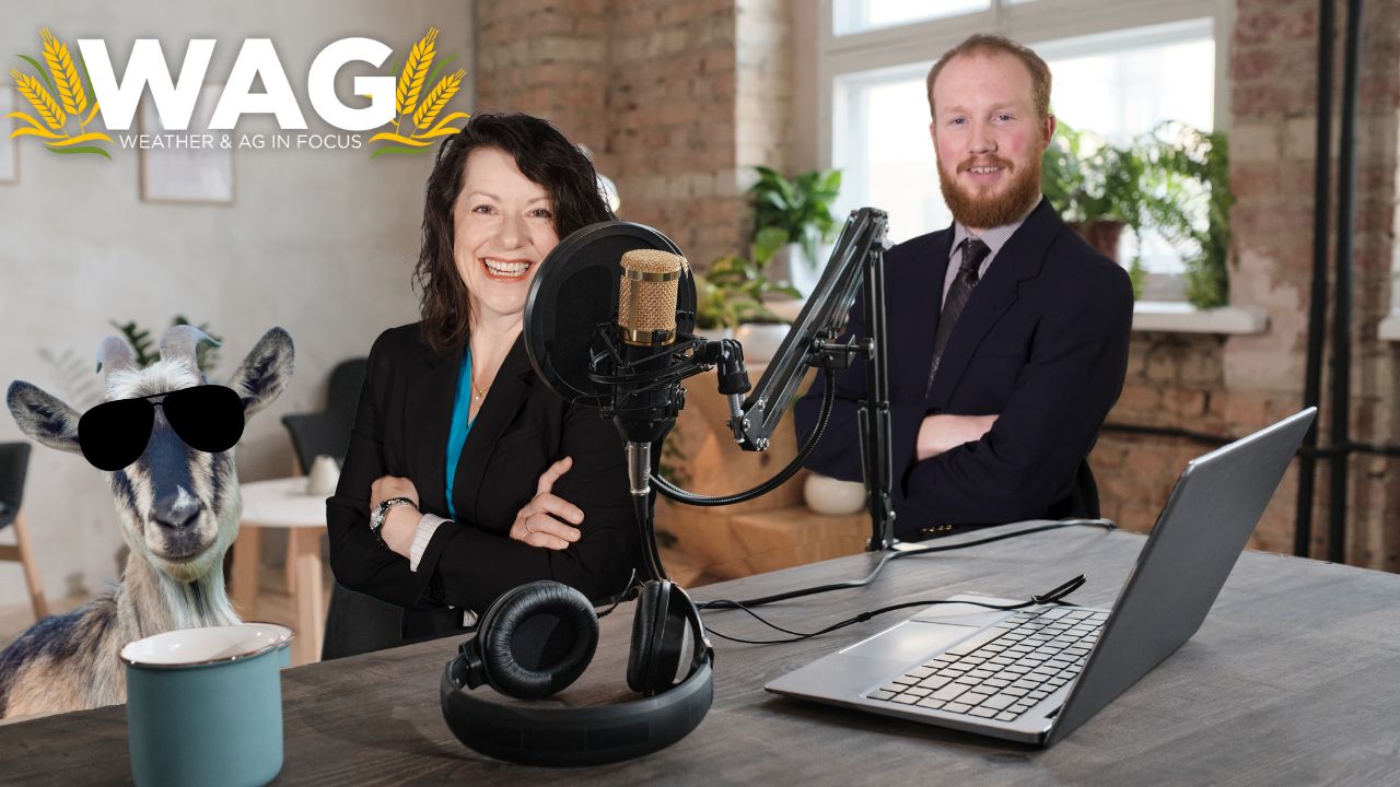 The Kids Are on Their Own | WAG In Focus 10/11/23