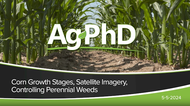 Corn Growth Stages, Satellite Imagery, Controlling Perennial Weeds | Ag PhD