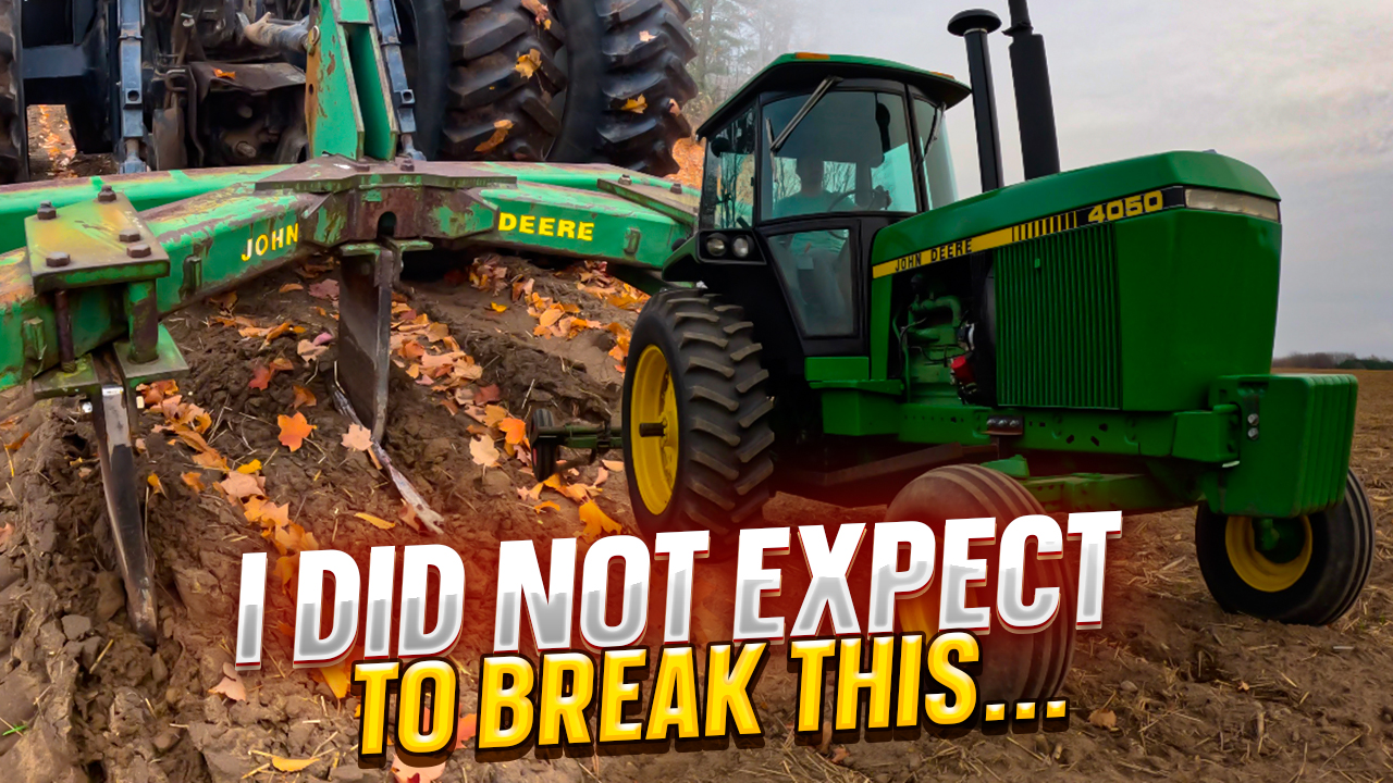 I Did NOT Expect This To Break!!! | Pomes and Stones