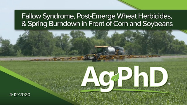Fallow Syndrome, PostEmerge Wheat Herb, Spring Burndown Before Corn and Soybeans