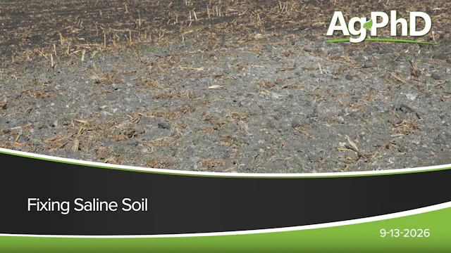 Fixing Saline Soil | Ag PhD