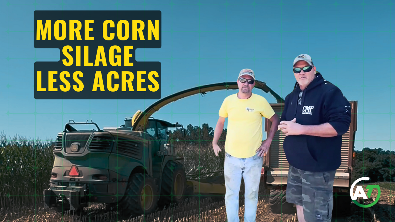 Sustainable vs Traditional Methods for Corn Silage | AgroTech USA