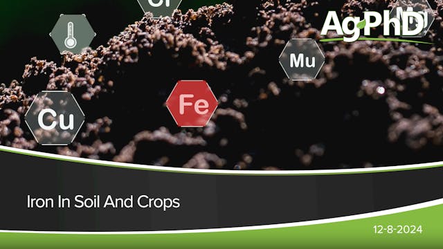 Iron In Soil And Crops | Ag PhD