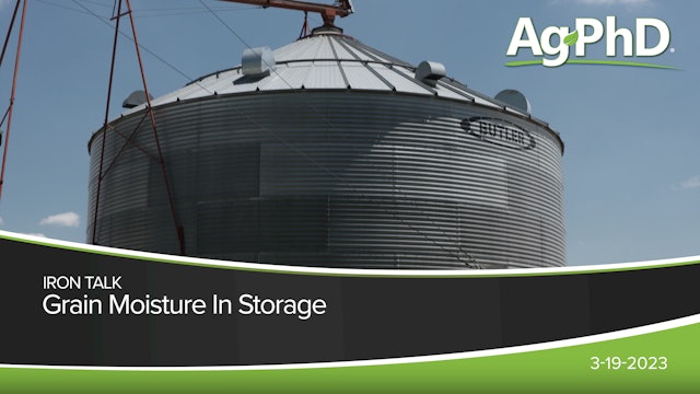 Grain Moisture in Storage